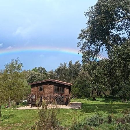 Villa Quinta D' Luzarcoiris à Arganil Extérieur photo
