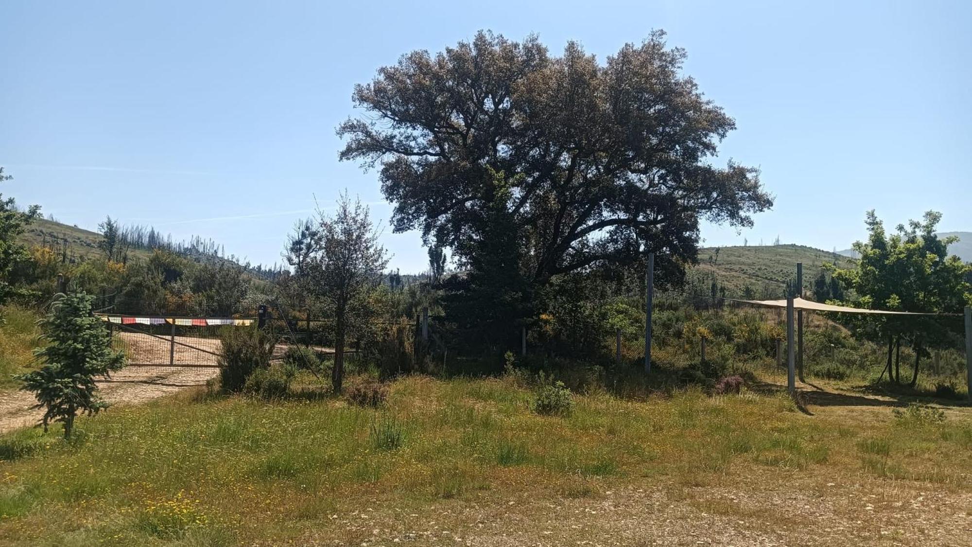 Villa Quinta D' Luzarcoiris à Arganil Extérieur photo